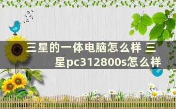 三星的一体电脑怎么样 三星pc312800s怎么样